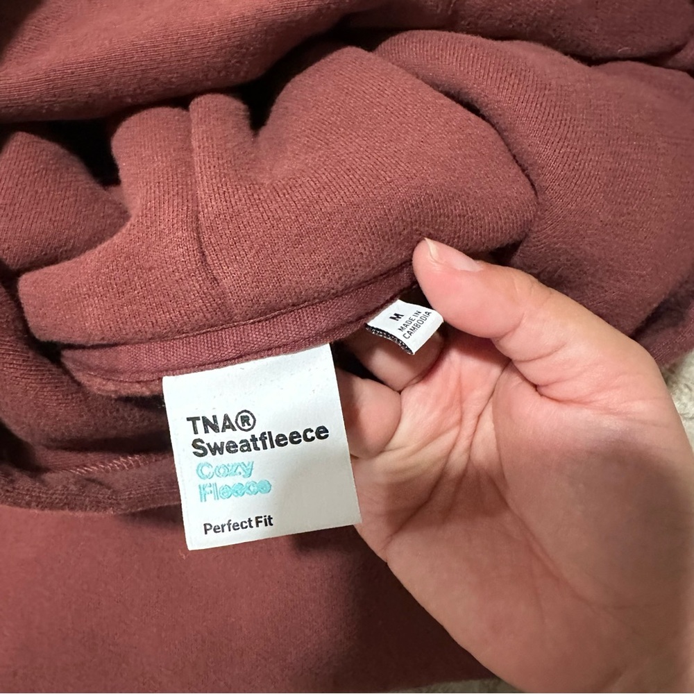 Aritzia TNA Sweatfleece Perfect Fit Hoodie